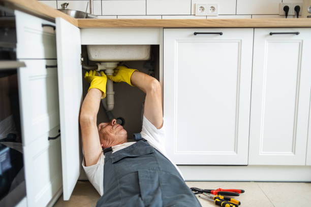 Best Residential Plumbing Services  in Freeport, IL